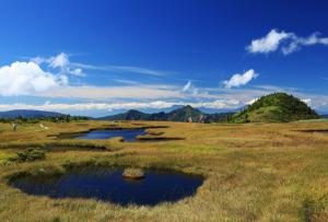 苗場山の高層湿原