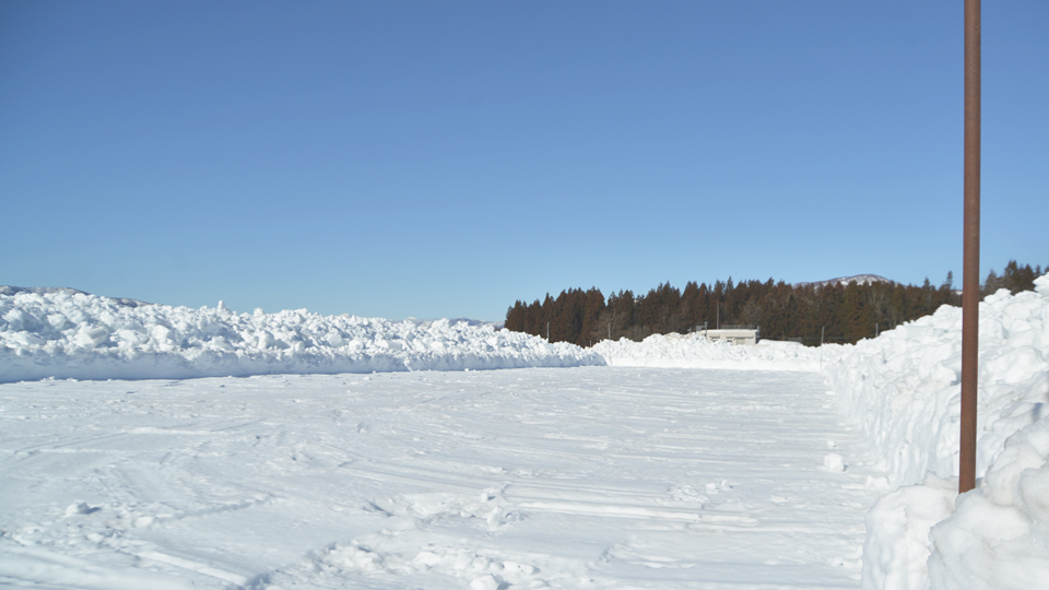 雪下にんじん畑除雪③