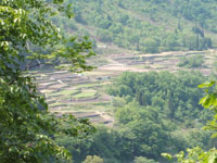 石垣田の全景写真です