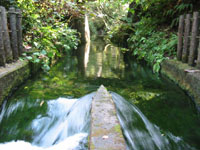 池から流れる水の写真です