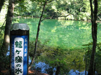 池の写真です