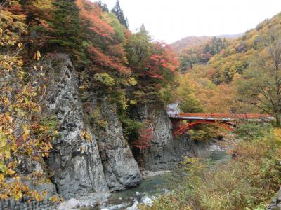 前倉橋の紅葉時期の写真です。