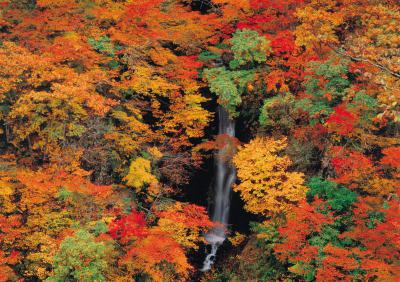 紅葉時期の蛇淵の滝の写真です。