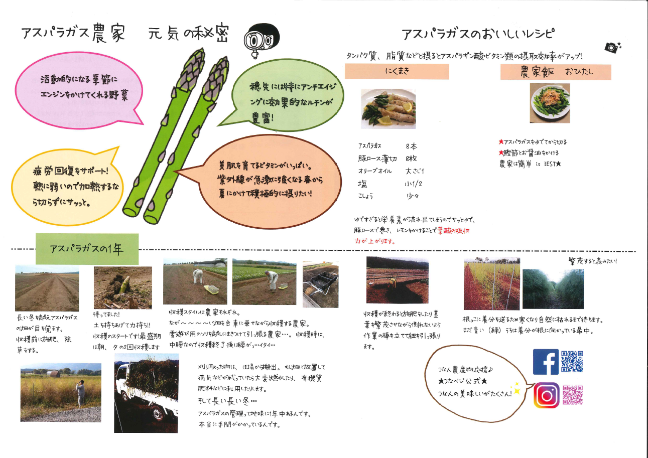 アスパラガスの1年 元気の秘密